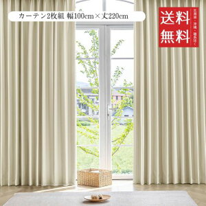 AZRA SՌJ[e R[eBO 2g 100cmx220cm x[W h h ՔM fM ȃGl @\ rO Q  n  Ԗ^[dl