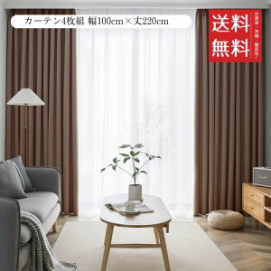 AIFY J[e4g 1 Ռ  h[vJ[e UVJbg `ԋLHς fM ߓd΍ ډB ۉ  􂦂 @Ή (J[e2 [X2) 100cm×220cm uE