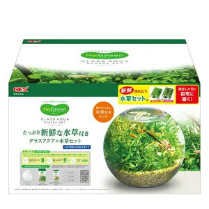 yszy2ZbgzWFbNX MeGreen@VNȐt@OXANAXtBAZbg