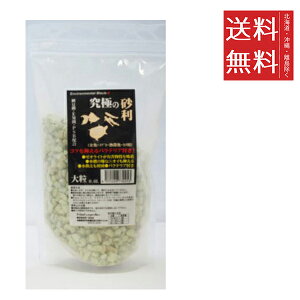 【同梱不可】ビーブラスト B-blast 究極の砂利 大粒 2L 水槽 観賞魚 アクアリウム 底砂