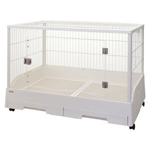 yszWFbNX NAtg80 nEX  P[W 