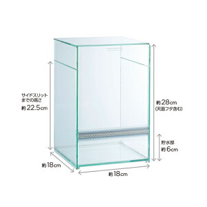 yszWFbNX veA NAlItBbg 180 ঒ P[W