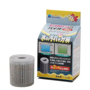 ���� �y�����s�z�y5�Z�b�g�z���슔����� ����G�C�g �G�C�g�R�AS�o�C�I�J�[�g���b�W