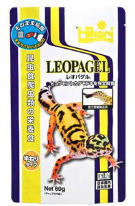 yszy3Zbgz L[@Ђ背Ip Q 60g