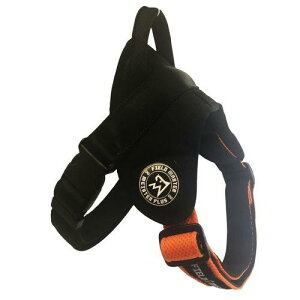 ysz JmY }CX^[vXFIELDMASTERwbhCn[lXbVLIW