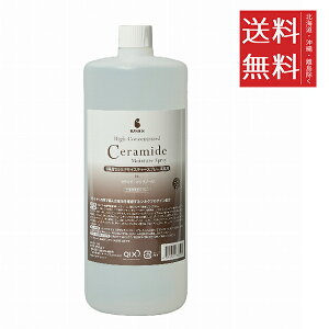 BASICS ZxZ~hCX`[Xv[ Ɩp 1L(1000mL) p XLPA ێ g[gg