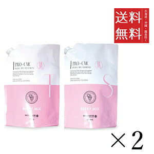 cw fNVI v CMC x[~bNX Vv[ 3000ml{g[gg 3000g e2Zbg ܂Ƃߔ wAPA F VRt[ mVR