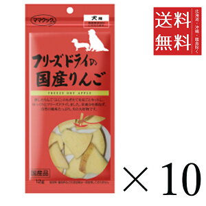 yszy10Zbgz}}NbN t[YhC̍Y 12g ܂Ƃߔ p Y Y 