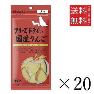 yszy20Zbgz}}NbN t[YhC̍Y 12g ܂Ƃߔ p Y Y 