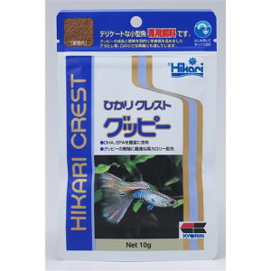 yszy5ZbgzЂNXgЂNXgObs[10g