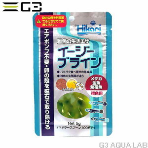 yszy3ZbgzL[@ЂC[W[uC5g