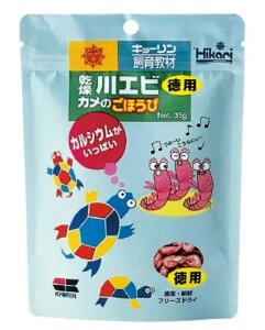 yszy50ZbgzL[ Ђ芣GrĴقѓp35g