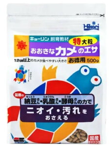 y!!N[|zz!!z yszy3ZbgzL[ Ђ肨ȃJ̃GT嗱500g
