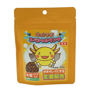 yszy48ZbgzKIDfSE[p[t[hXyV`嗱50g