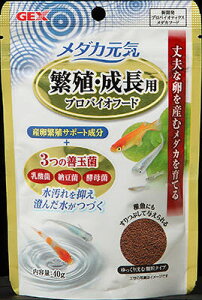 yszy12ZbgzWFbNX _JC ɐBEp voCIt[h 40g