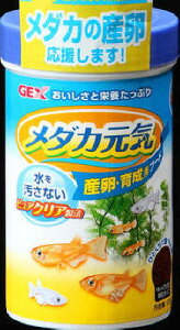 yszy3ZbgzWFbNX _JC YE琬pt[h 100g