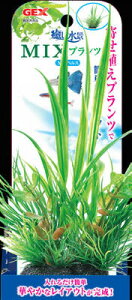 yszy2ZbgzWFbNXiMIXvcMVyX