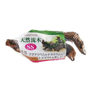 yszy5ZbgzWFbNX WFbNXVRSS