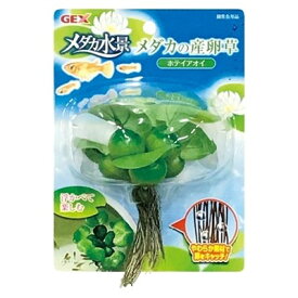 【同梱不可】【6個セット】ジェックス ジェックスメダカの産卵草ホテイアオイ