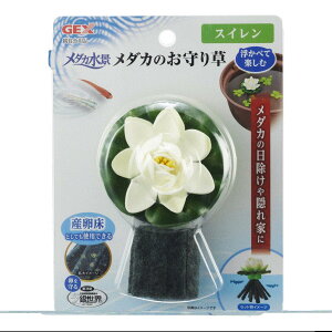 【同梱不可】【3個セット】ジェックスメダカ水景メダカのお守り草スイレン