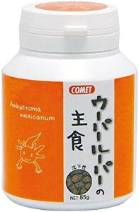 CgXC yszy2ZbgzRbgE[p[[p[̎H85g