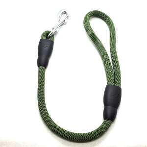 yszLEADOG ۃV[g[h 12 J[L