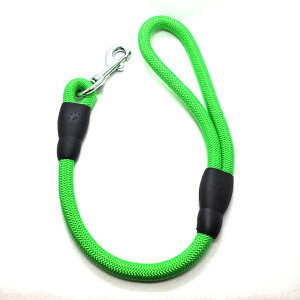 yszLEADOG ۃV[g[h 12 O[