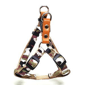 yszy2Zbgz[hbN LEADOGʃJ^n[lXSSzCg