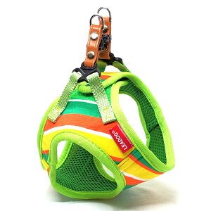 ysz[hbN LEADOGpXe{[_[\tgn[lXSSO[