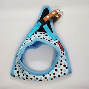 yszLEADOGʃ\tgn[lXSSzCg