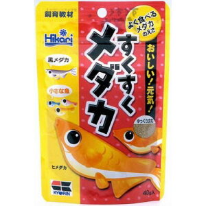 【同梱不可】【10個セット】キョーリン ひかり すくすく メダカ 40g