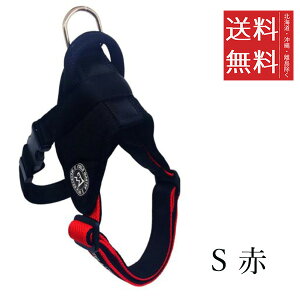 yszJmY FIELD MASTER wbhCn[lX R S  ^p