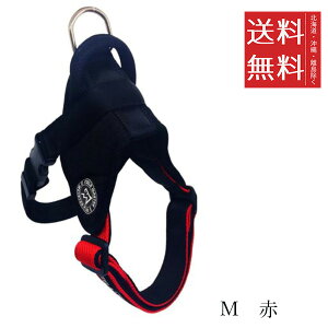 yszJmY FIELD MASTER wbhCn[lX R M  ^p