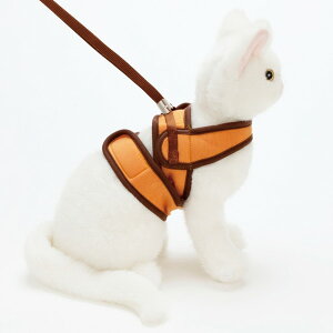 yszy3Zbgz yeBI Any cat n[lX Vv MTCY IW