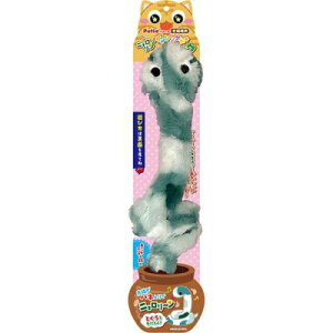 �y�e�B�I �y�����s�z�y3�Z�b�g�z�y�e�B�I PETIO�G�ߕi�L�p��������j���������_���V���O���X�l�[�N