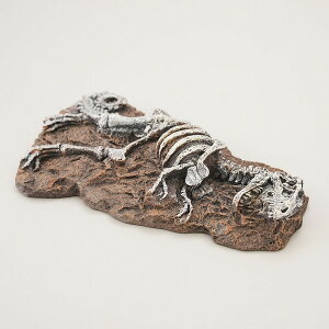 yszy12Zbgz ybgCu[ aquaneru ANAEI[ig eBmTEX̉