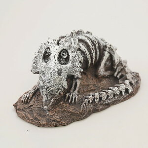 ysz ybgCu[ aquaneru ANAEI[ig gPgvX̉