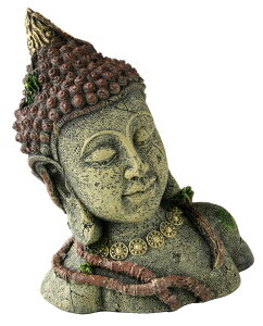 yszy12ZbgzybgCu[ aquaneru ANAEI[ig@^C̏_