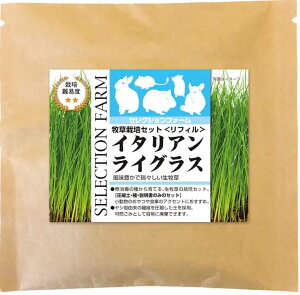 yszy5ZbgzC[X^[ ZNVt@[q͔|ZbgtBC^ACOX1