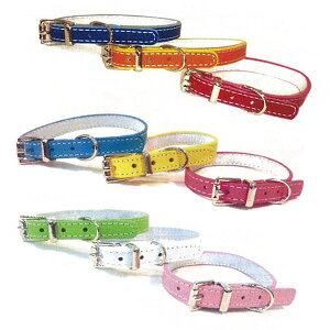 ysz JmY }CX^[ WU[ J[ 10 LTCY bh