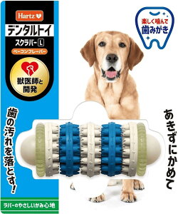 ZAOC^[iVi yszy6Zbgzn[c `[fg@݂@XNo[ L