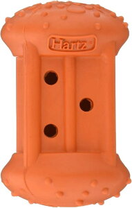 yszZAOC^[iVi n[c gC[c@炩 ^-^p