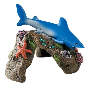 ybgCu[ yszy3Zbgz aquaneru ANAEI[ig@zIWU