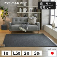 日本製 ホットカーペット 1畳 1.5畳 2畳 3畳 本体 通常タイプ / 省電力タイプ【 ホットカーペット 電気カ…
