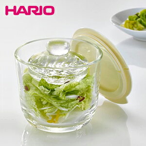 ガラスの一夜漬け器 S【 保尊容器 キャニスター 漬け物 電子レンジ可 ハリオ hario 】LF557B07b000