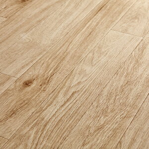 y s z_CjOO}bgXSESSE SESMEMEL CFR303-502-510-537My ؖڒ _CjOO O}bg O NbVtA t[O ؖ ėp    z