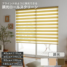 【送料無料】調光ロールスクリーン　ゼブライト 4サイズ【 ブラインド ブラインドスクリーン カーテン ロールスクリーン 】LF301B03b000