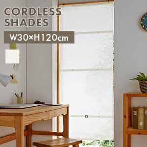 yzR[hXVF[h@Xo[n30x120cm@i`y CeA J[e X^CJ[e JtFJ[e zLF301B03b000