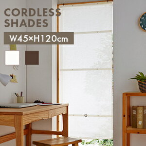 �y���������z�R�[�h���X�V�F�[�h�@�X���o�[���n45cm×120cm�y �C���e���A �J�[�e�� �X�^�C���J�[�e�� �J�t�F�J�[�e�� �zLF301B03b000