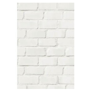 ͂邨C̕ǃV[g FuRoDeCo @44cm×2mLF020B04yC ǎ CNV[g V[ ͂ǎ  z